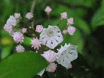 Click for details